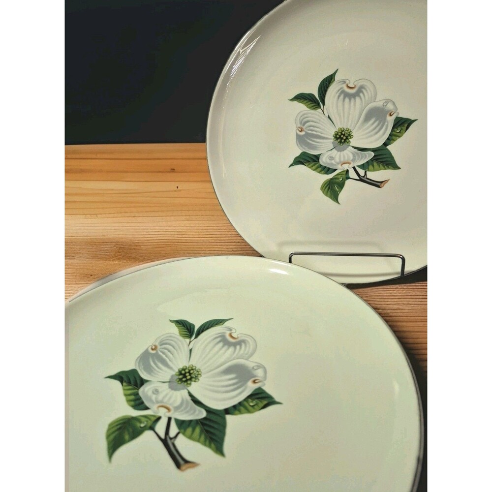 2 Vintage 10" Plates 1950s TAYLOR SMITH TAYLOR Versatile Magnolia Pattern USA - Picture 3 of 7